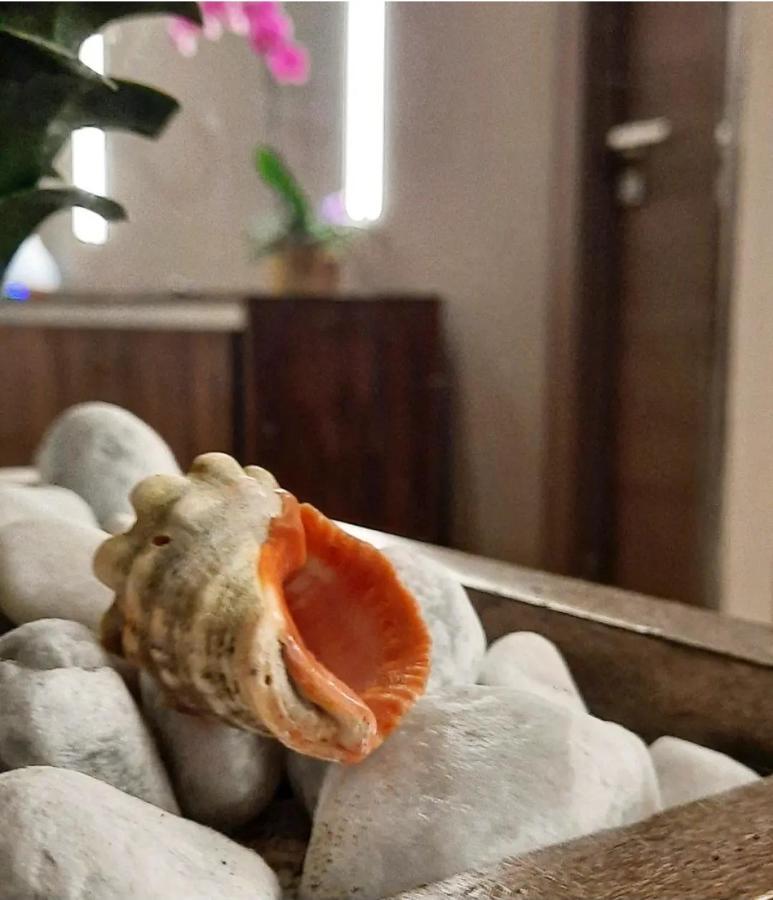 Il Vicolo B&B Giubileo 네뚜노 외부 사진